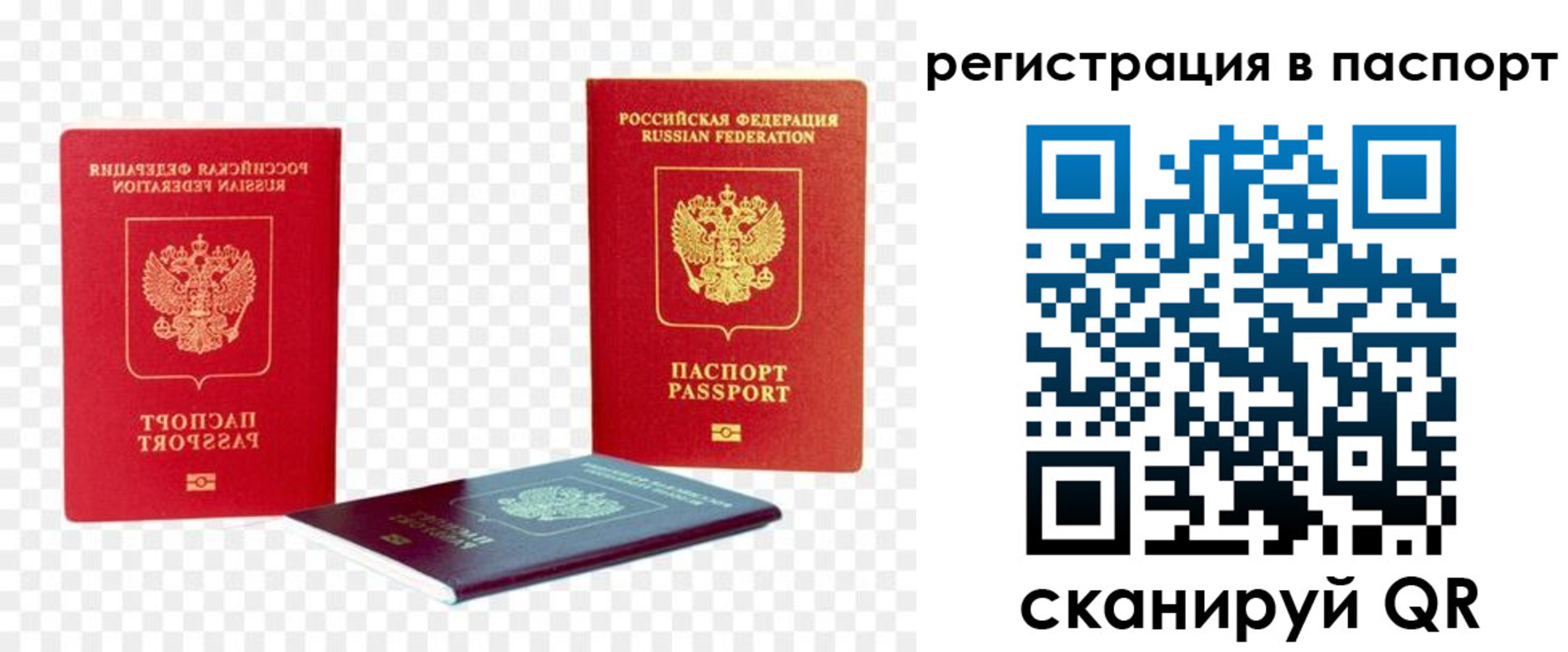 временная регистрация поиск в Ростовской области